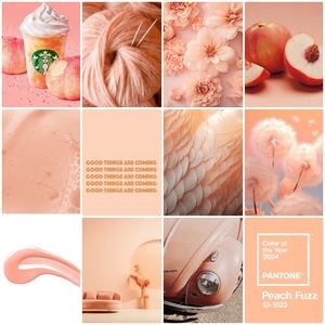 🍑Peach Fuzz (Pantone Color of the Year for 2024)